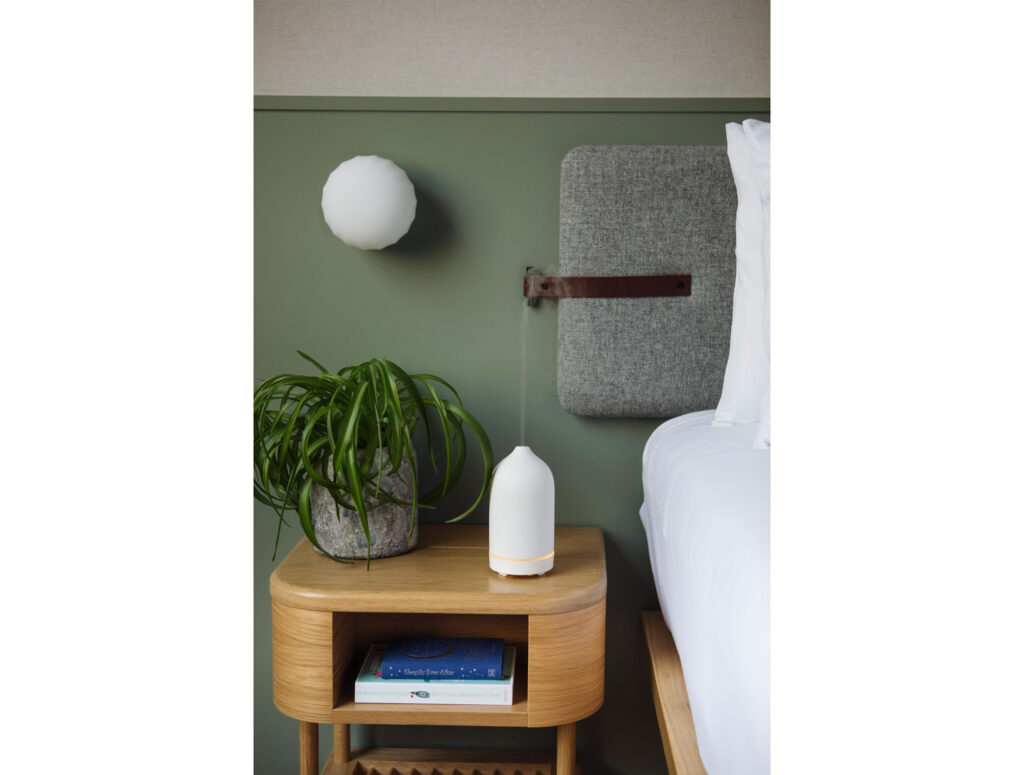 hotel bedroom with plant and diffuser
