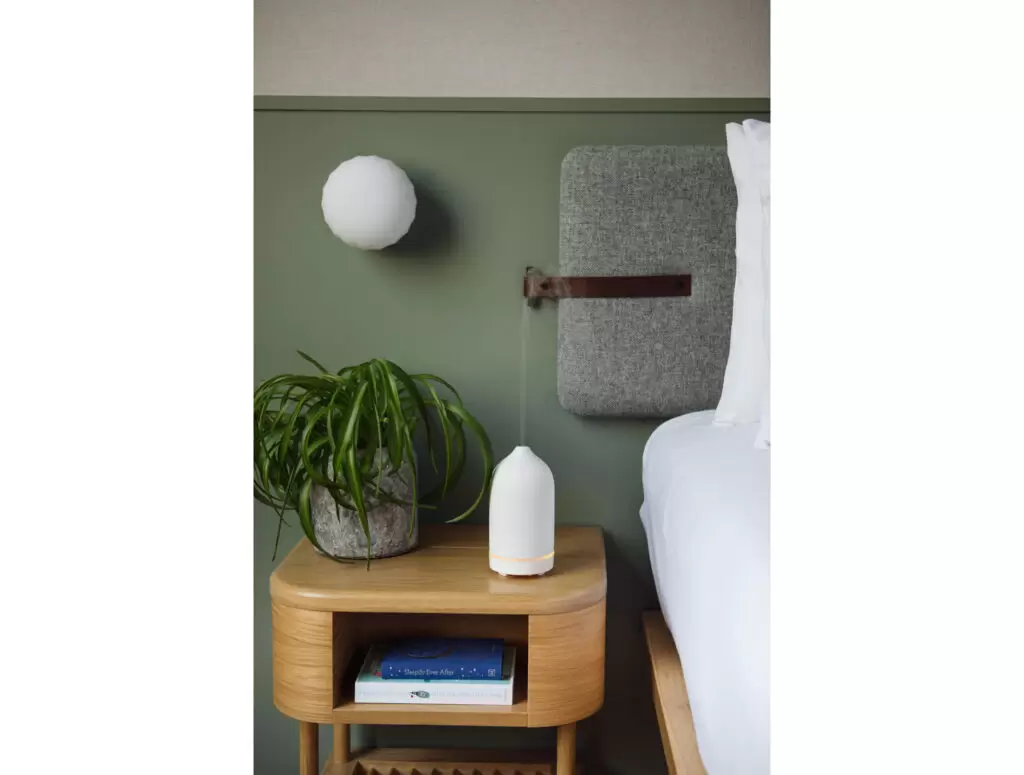 hotel bedroom with plant and diffuser